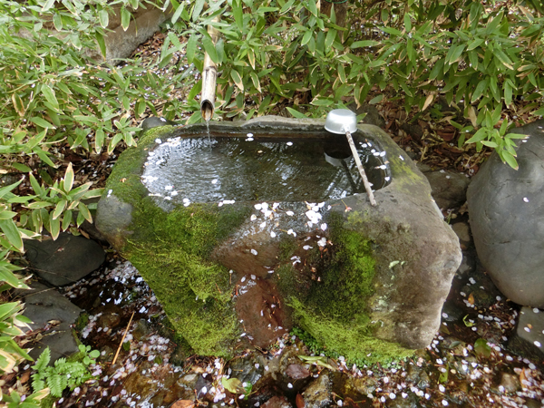 f:id:inudenchi:20190414191817j:plain