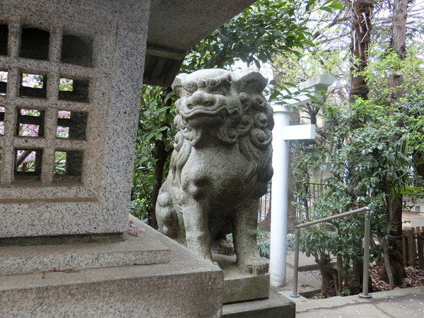 子安稲荷神の左の狛犬