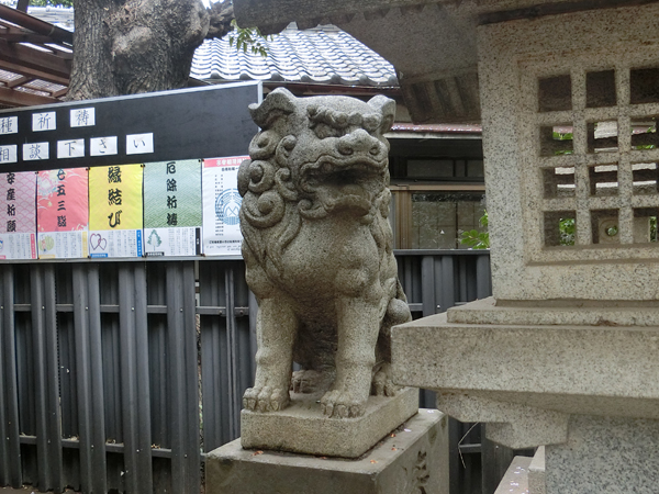 子安稲荷神の右の狛犬