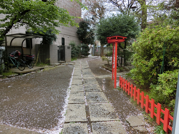 f:id:inudenchi:20190414192115j:plain