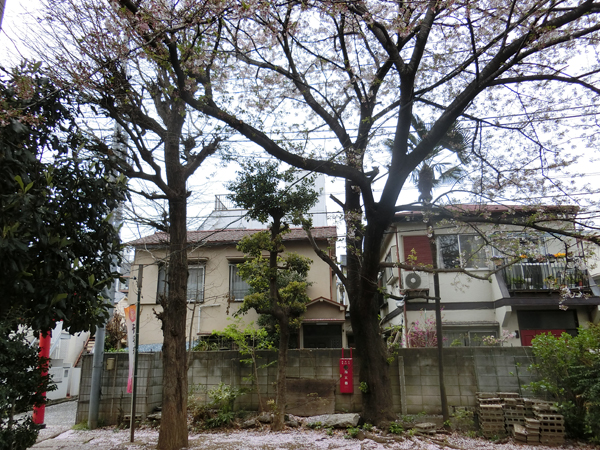 f:id:inudenchi:20190414192326j:plain