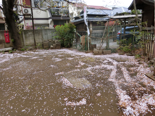 f:id:inudenchi:20190414192353j:plain