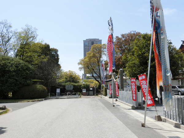 f:id:inudenchi:20190424225454j:plain