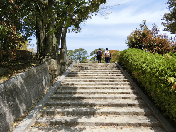 f:id:inudenchi:20190424230709j:plain