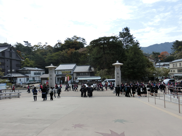 f:id:inudenchi:20190428184610j:plain