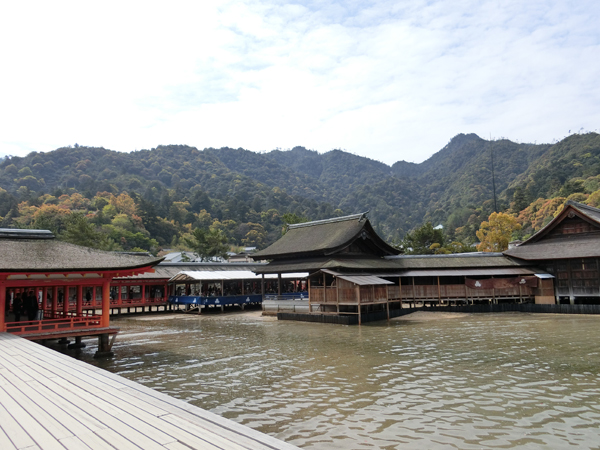 f:id:inudenchi:20190428184645j:plain