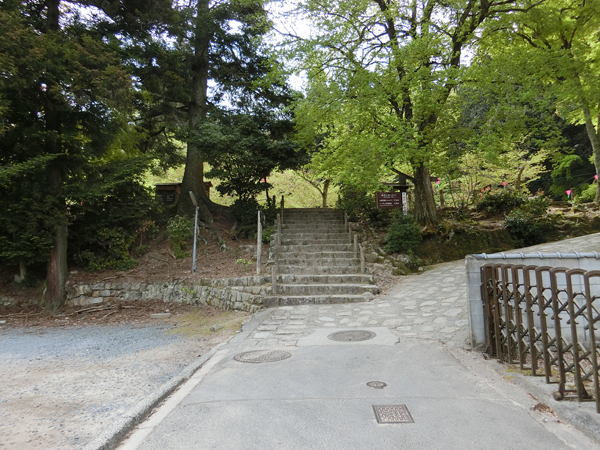 f:id:inudenchi:20190428185039j:plain