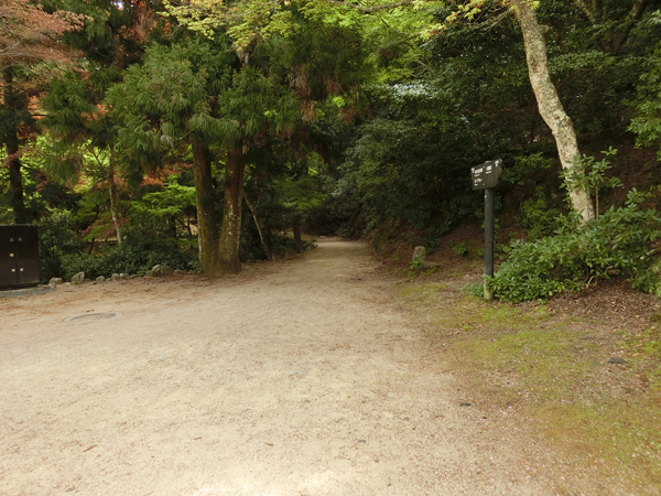 f:id:inudenchi:20190428185051j:plain