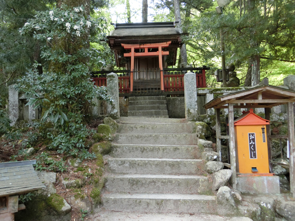 f:id:inudenchi:20190428185136j:plain