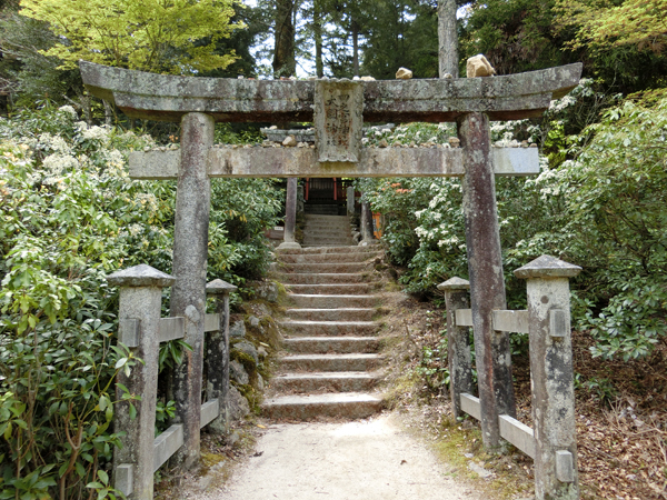 f:id:inudenchi:20190428185208j:plain