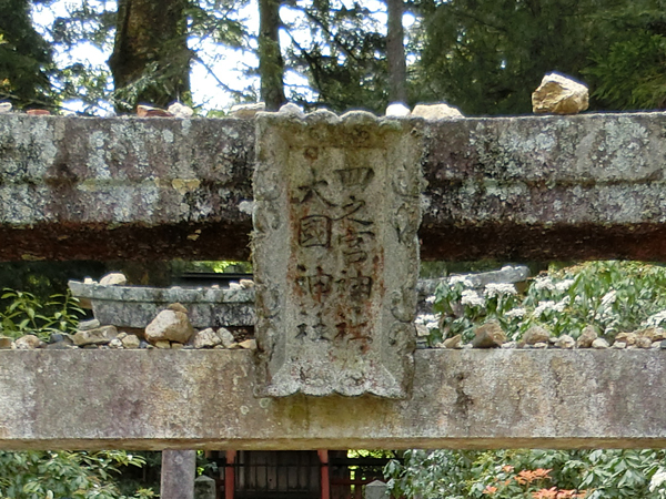 f:id:inudenchi:20190428185225j:plain