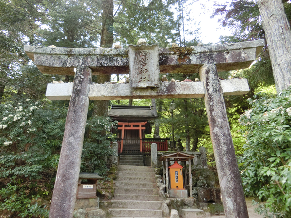 f:id:inudenchi:20190428185324j:plain