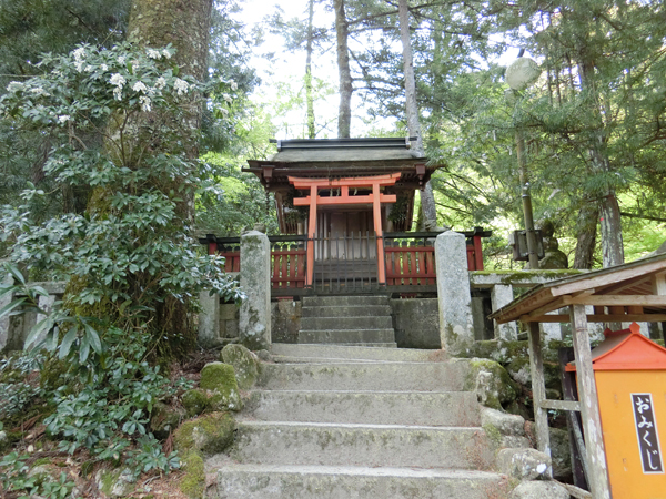 f:id:inudenchi:20190428185358j:plain