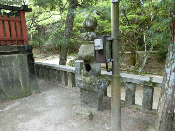 f:id:inudenchi:20190428185445j:plain