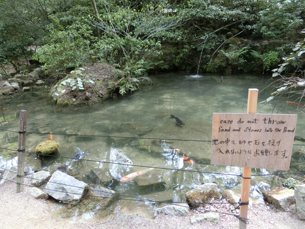 f:id:inudenchi:20190428190248j:plain