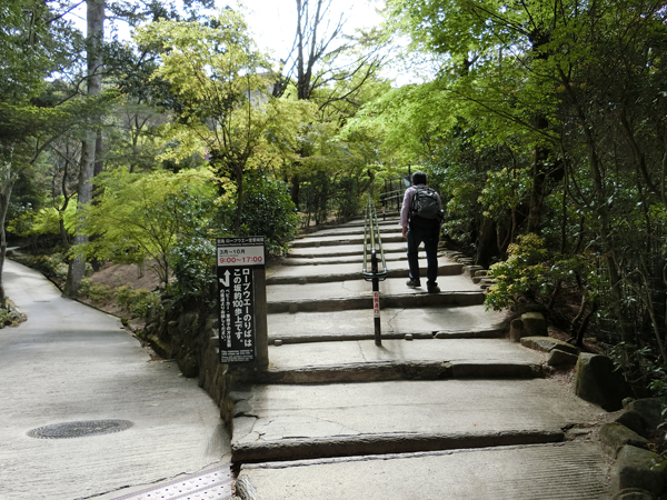 f:id:inudenchi:20190428190313j:plain