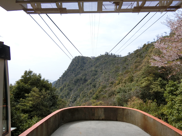 f:id:inudenchi:20190501221255j:plain