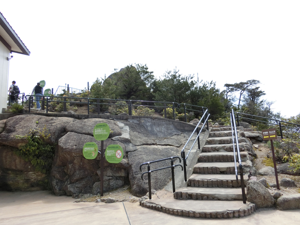 f:id:inudenchi:20190501221622j:plain