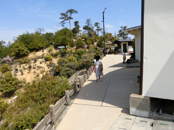 f:id:inudenchi:20190501221921j:plain