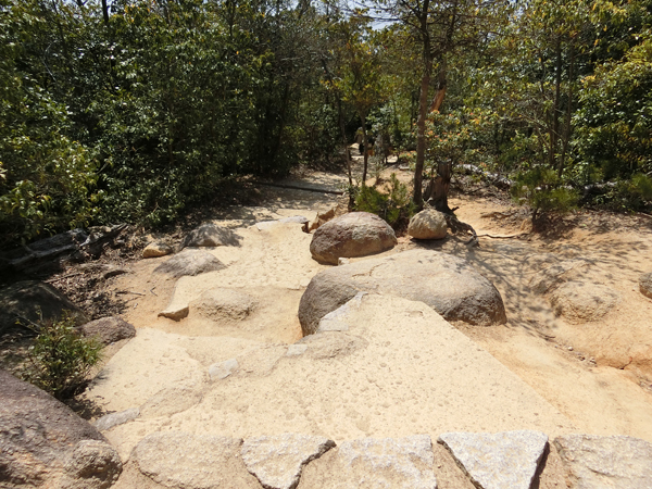 f:id:inudenchi:20190501221955j:plain