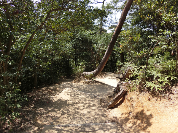 f:id:inudenchi:20190501222012j:plain