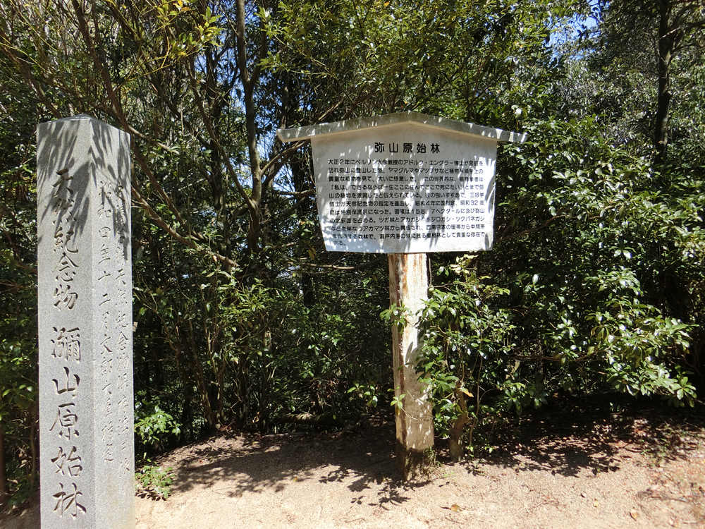 f:id:inudenchi:20190501222158j:plain