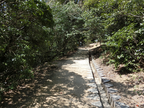 f:id:inudenchi:20190501222226j:plain