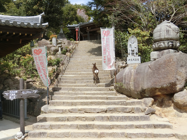 f:id:inudenchi:20190503204635j:plain