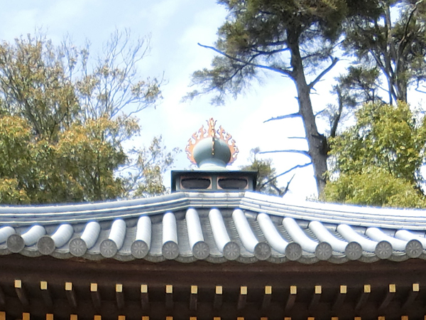 f:id:inudenchi:20190503204731j:plain