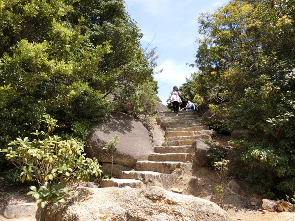f:id:inudenchi:20190504184619j:plain