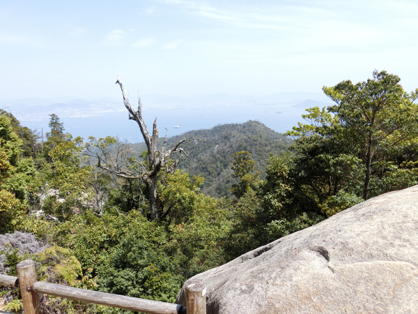 f:id:inudenchi:20190504184712j:plain
