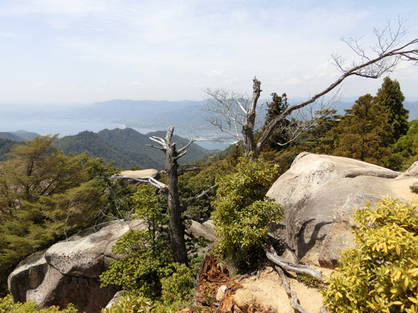 f:id:inudenchi:20190504185100j:plain