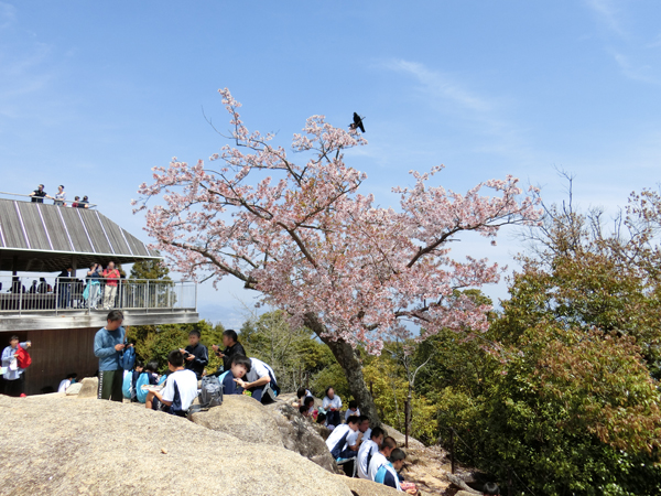f:id:inudenchi:20190504185729j:plain