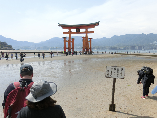 f:id:inudenchi:20190507202136j:plain