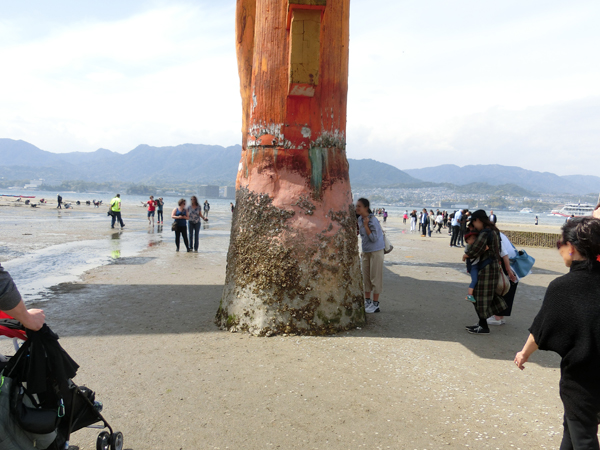 f:id:inudenchi:20190507202504j:plain