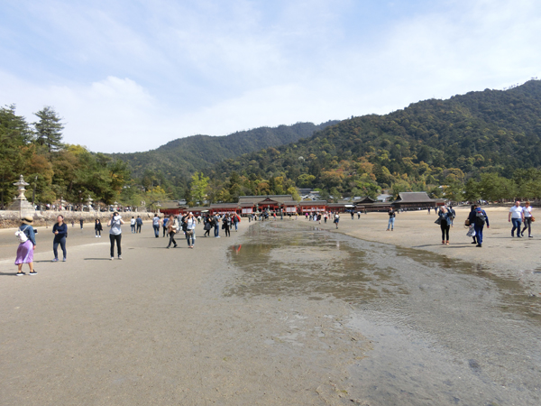 f:id:inudenchi:20190507202613j:plain