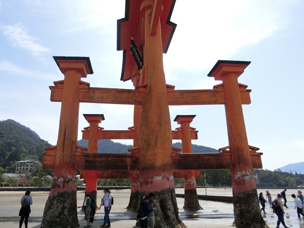 f:id:inudenchi:20190507202646j:plain