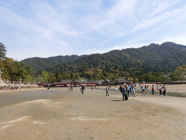 f:id:inudenchi:20190507202658j:plain