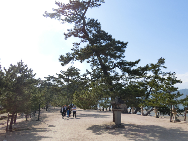 f:id:inudenchi:20190508191046j:plain f:id:inudenchi:20190508191046j:plain