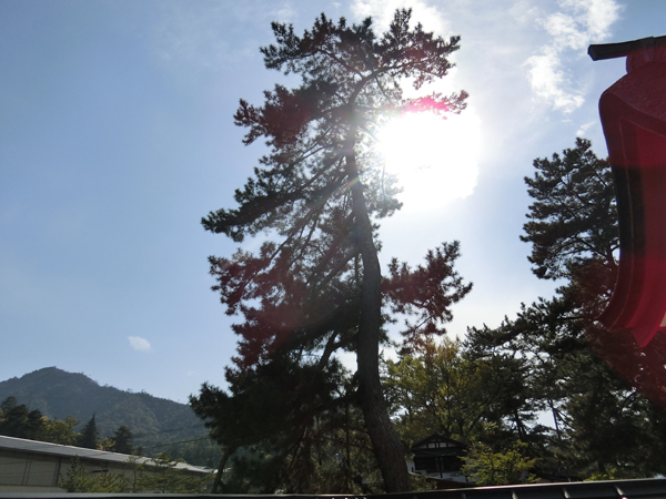 f:id:inudenchi:20190508191405j:plain f:id:inudenchi:20190508191405j:plain