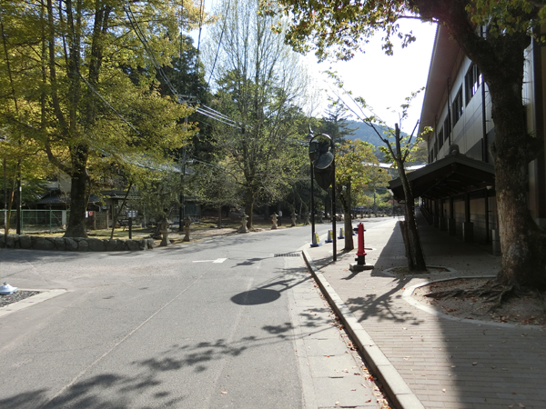 f:id:inudenchi:20190510212837j:plain