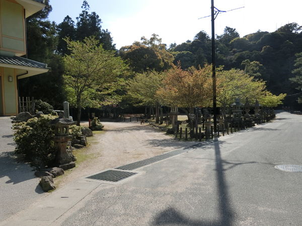 f:id:inudenchi:20190510212855j:plain