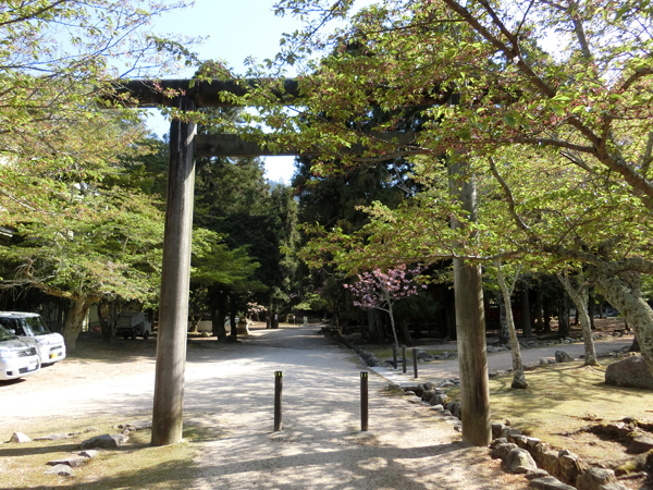 f:id:inudenchi:20190510212938j:plain