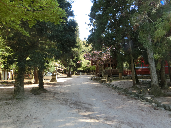 f:id:inudenchi:20190510212953j:plain