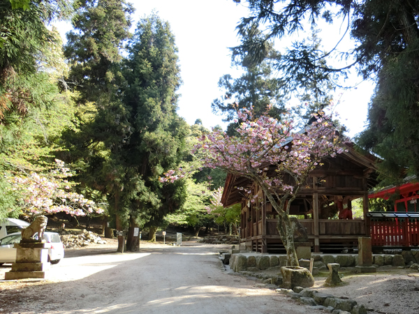 f:id:inudenchi:20190510213021j:plain