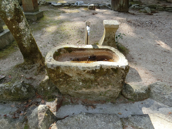 f:id:inudenchi:20190510213108j:plain