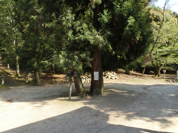 f:id:inudenchi:20190510213134j:plain