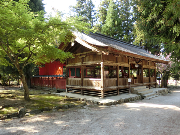 f:id:inudenchi:20190510213533j:plain