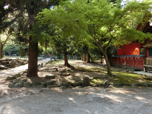 f:id:inudenchi:20190510213547j:plain