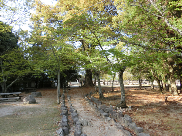 f:id:inudenchi:20190510213724j:plain